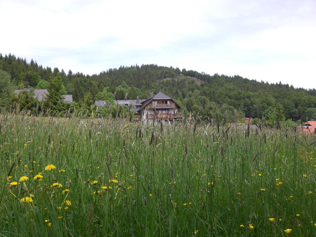 Hotel Dachsberger-Hof Wittenschwand Exteriör bild